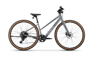 Whyte RHeO 2 ST Silver eBike