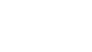 Whyte Logo T